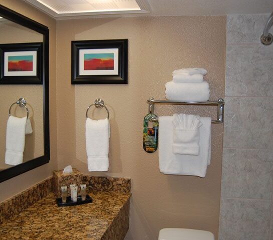 Guest room bathroom